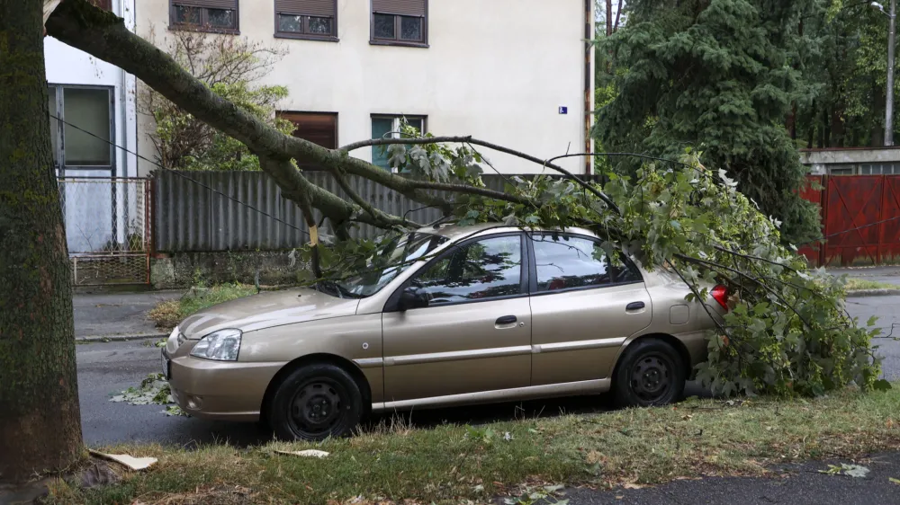 A fallen tree on a damaged parked car after a powerful storm, in Zagreb, Croatia, Wednesday, July 19, 2023. A powerful storm with strong winds and heavy rain hit Croatia and Slovenia on Wednesday, killing at least three people and injuring several others. (AP Photo)