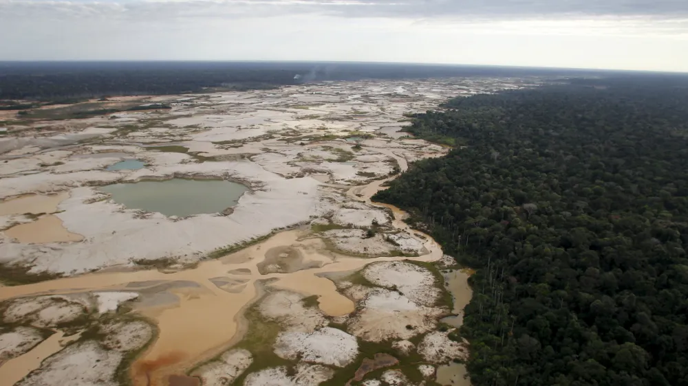 ﻿An area deforested by illegal gold mining is seen in a zone known as Mega 14, in the southern Amazon region of Madre de Dios July 13, 2015. Peruvian police razed dozens of illegal gold mining camps at the edge of an Amazonian nature reserve this week, part of a renewed bid to halt the spread of wildcatting in a remote rainforest region. The stings at the edge of the Tambopata National Reserve were the first in the southeastern region of Madre de Dios since a crackdown let up in December. Production from wildcat miners in Madre de Dios, who sell their ore up the supply chain, made up about 10 percent of national production before President Ollanta Humala launched the harshest crackdown yet on illegal gold mining last year. Picture taken July 13, 2015. REUTERS/Janine Costa   TPX IMAGES OF THE DAY   - GF10000160494