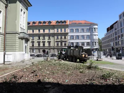 - 27.07.2023 - posek kostanja zaradi načrtovane obnove SNG Drama – drevo kostanj - podiranje//FOTO: Tomaž Skale