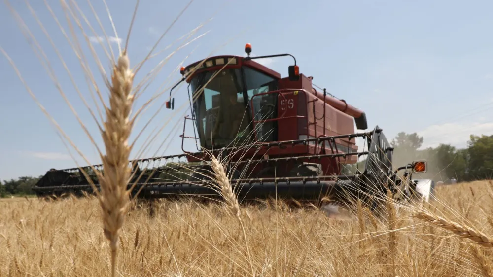 FILE PHOTO: A combine harvests wheat in a field in Almaty Region, Kazakhstan July 14, 2021. REUTERS/Pavel Mikheyev/File Photo