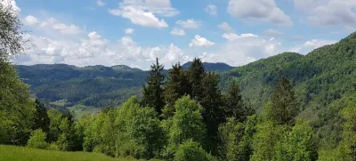 narava sonce pomlad travnik gozd simbolična fotografija