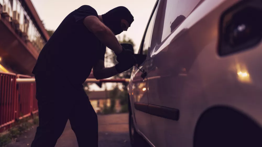 Kateri avtomobili jih najbolj privlačijo? / Foto: Istock