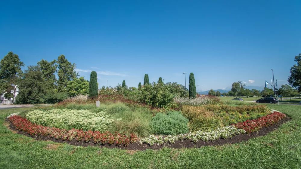 ﻿- Krožišče Žale - 22.07.2019 – Ljubljana - zelene javne površine in njihovo poletno zalivanje //FOTO: Matija Krajnik