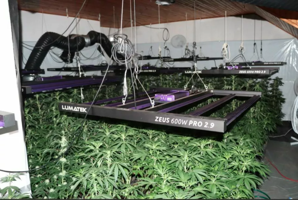 Šmarski policisti so v Kozjem odkrili prostor, v katerem je 42-letnik prideloval konopljo. 