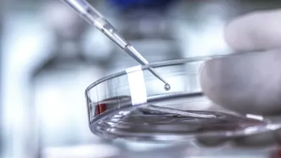 Simbolična fotografija: Profimedia