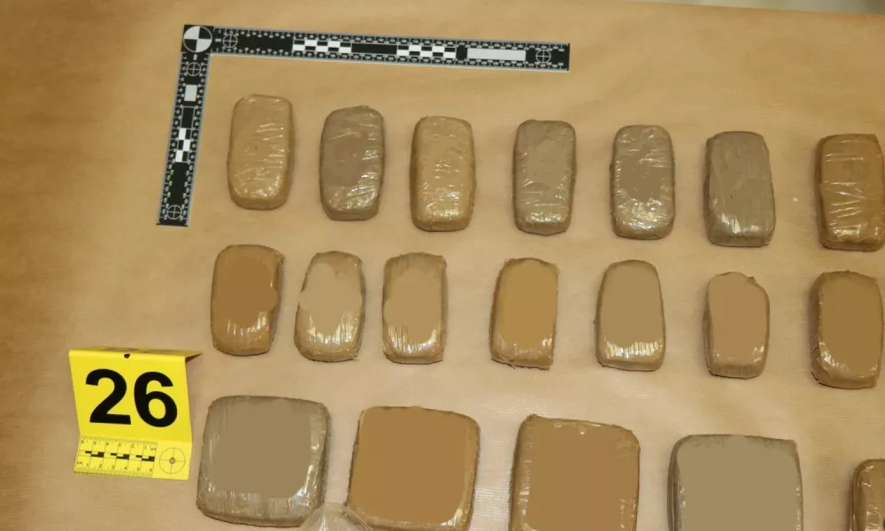 Zaseg, mamila. Foto: PU Nova Gorica