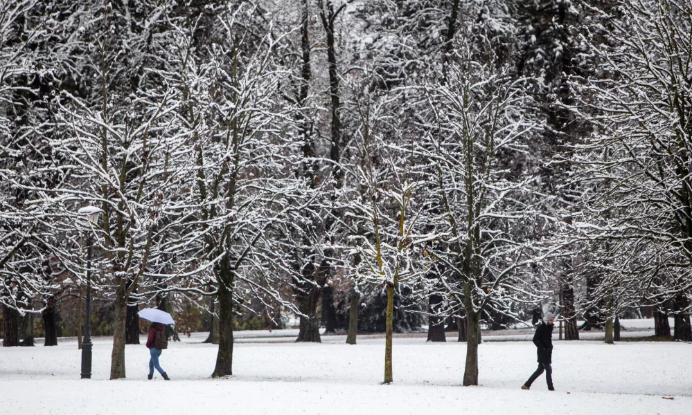 Zakaj lymsko boreliozo zaznavajo tudi pozimi