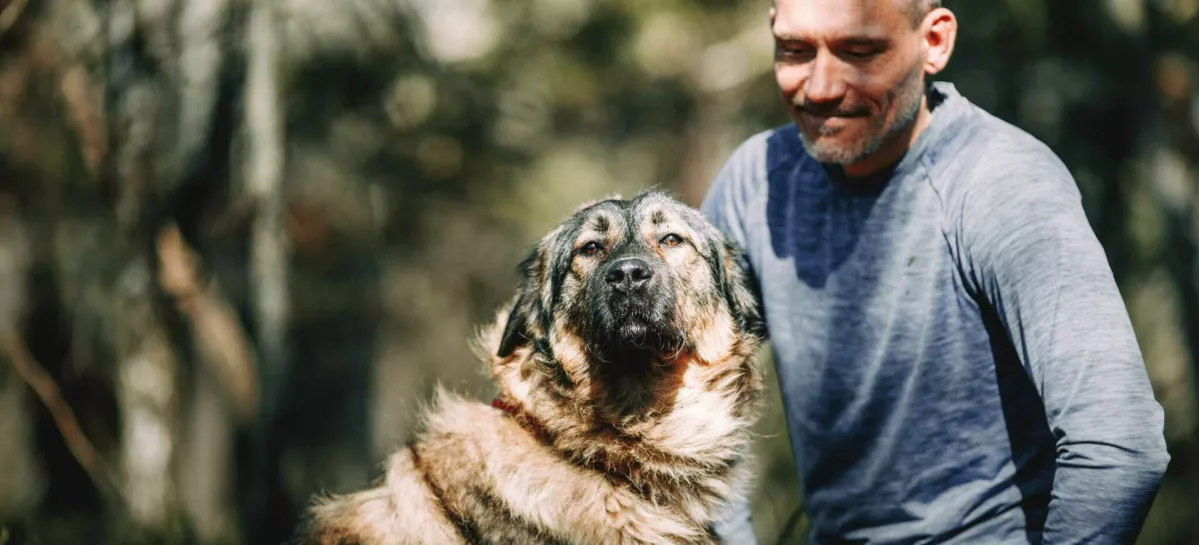 Zapu&scaron;čeni psi in mačke na ulici: zaveti&scaron;ča zakon sili, da izbirajo, komu bodo pomagali