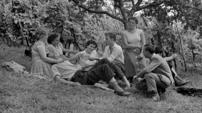 Leto 1959. Piknik med dolenjskimi vinogradi. 