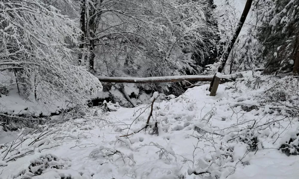Prazne obljube z izplačili od&scaron;kodnin