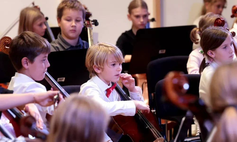 Zasebne glasbene &scaron;ole: Elitni hibrid med zasebnim in javnim