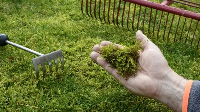 Mah v trati. Slika je simbolična. / Foto: Istock