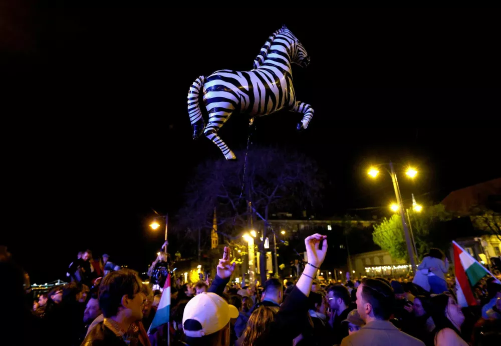 A supporter of Peter Magyar, leader of the opposition Tisza party, celebrates with a zebra balloon, after Hungarian Prime Minister Viktor Orban conceded defeat in the parliamentary election, in Budapest, Hungary, April 13, 2026. REUTERS/Lisi Niesner
