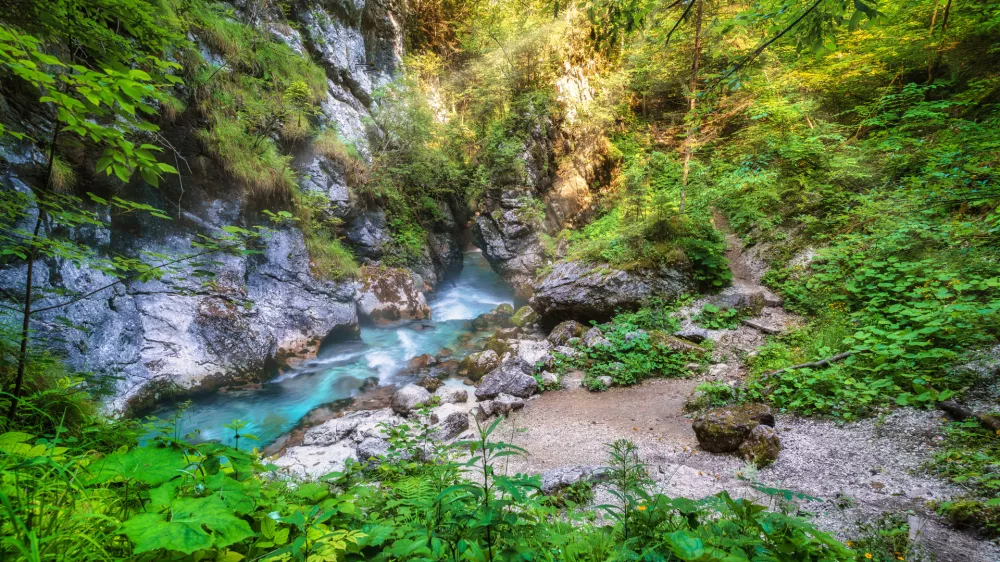 Soteski Veliki in Mali Predaselj predstavljata najožji del struge Kamni&scaron;ke Bistrice, nahajata pa se slab kilometer pred Domom v Kamni&scaron;ki Bistrici. F visitkamnik