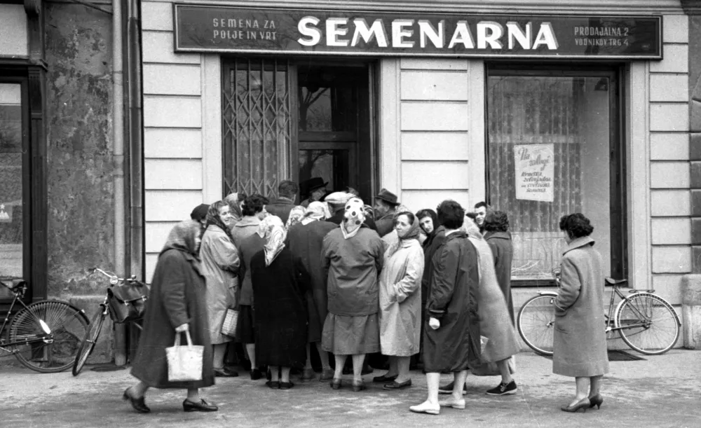 Spomladi je bila pred Semenarno vedno gneča, saj so gospodinje v dolgih vrstah kupovale semena za pravočasno pripravo vrtov. / Foto: Marjan Ciglič, hrani Muzej Novej&scaron;e In Sodobne Zgodovine Slovenije