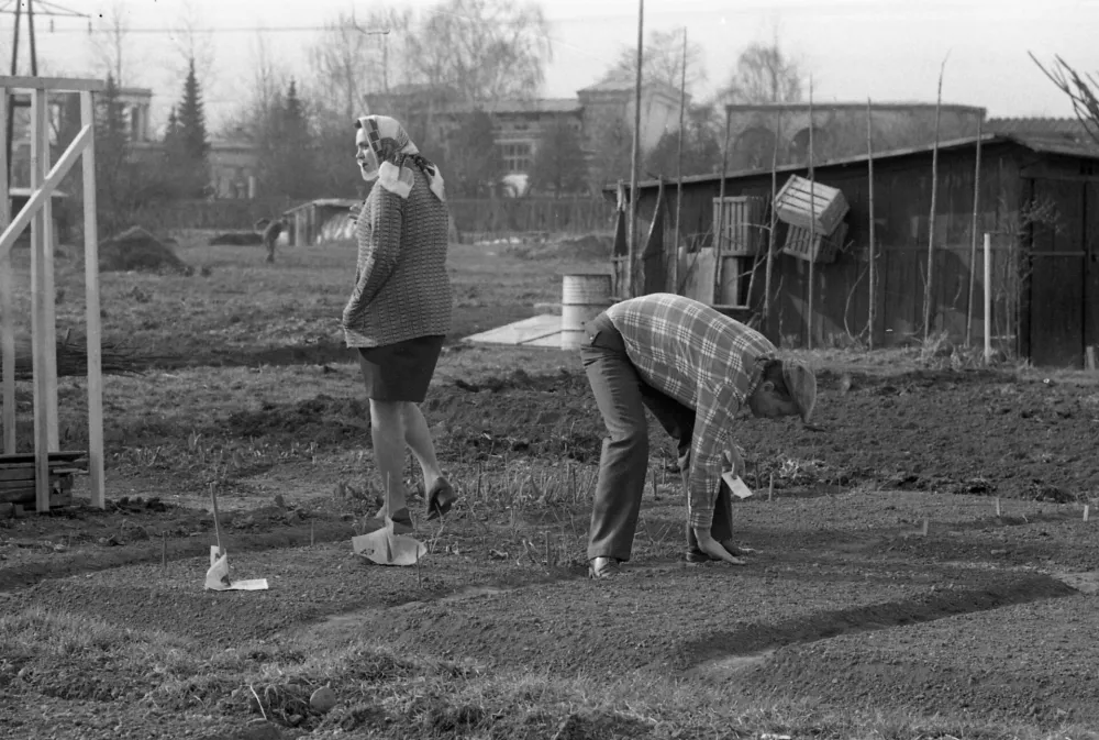Preprosti vrtički so bili vir hrane in vsakdanjega preživetja. / Foto: Marjan Ciglič, hrani Muzej Novej&scaron;e In Sodobne Zgodovine Slovenije