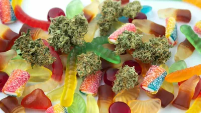 Dried medical marijuana buds lie among gummies of various shapes and flavors. On a cold white background / Foto: Nyaaka Photo