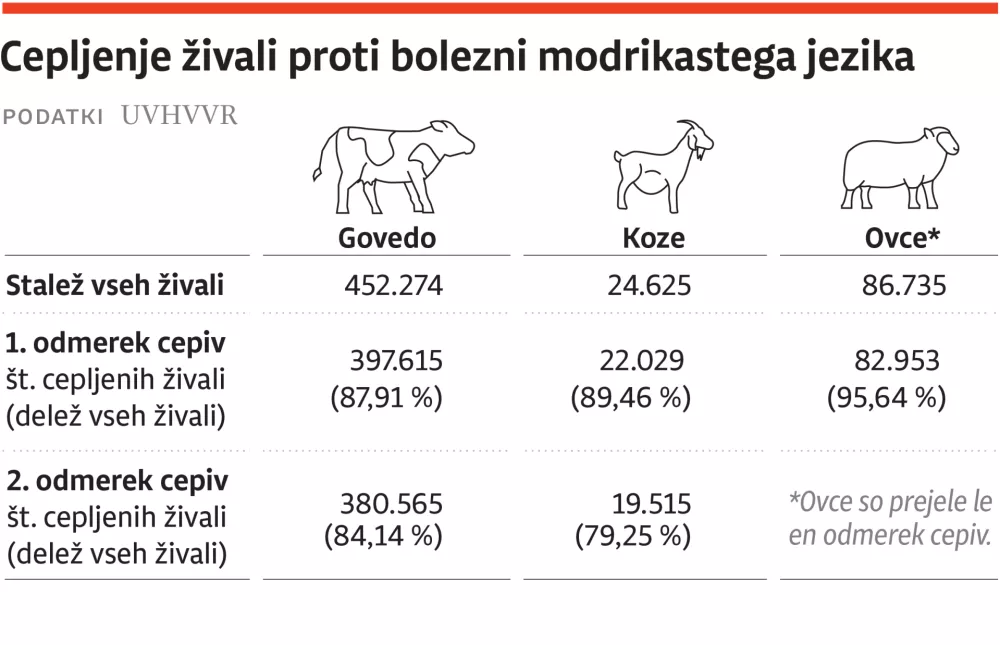 modrikast jezik