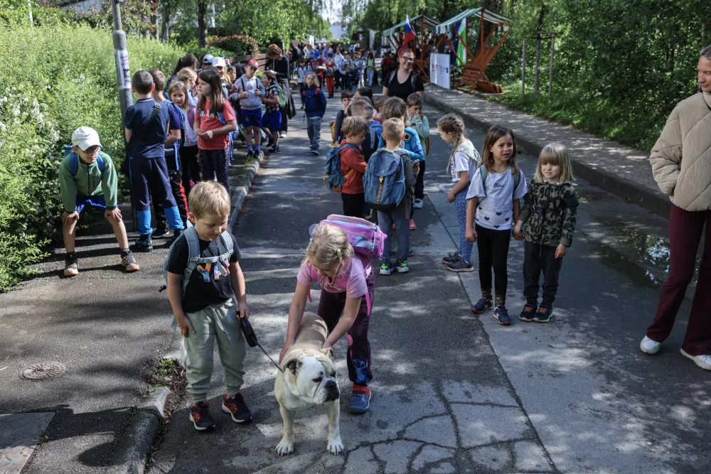 - 07.05.2026 - pohod ob žici za otroke - POT, pst, pot spominov in tovari&scaron;tva//FOTO: Jaka Gasar