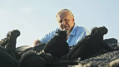 Picture Shows: Sir David Attenborough and marine iguanas (amblyrhynchus cristatus)  TX:BBC ONE, TBA &copy;Miles Barton Sir David Attenborough transforms our perceptions of cold-blooded animals in the final chapter of his epic overview of life on Earth. 'Reptiles and amphibians are sometimes thought of as slow, dim-witted and primitive. In fact they can be lethally fast, spectacularly beautiful, surprisingly affectionate and extremely sophisticated,' says David. WARNING: Use of this copyright image is subject to the terms of use of BBC Pictures' BBC Digital Picture Service. In particular, this image may only be published in print for editorial use during the publicity period (the weeks immediately leading up to and including the transmission week of the relevant programme or event and three review weeks following) for the purpose of publicising the programme, person or service pictured and provided the BBC and the copyright holder in the caption are credited. Any use of this image on the internet and other online communication services will require a separate prior agreement with BBC Pictures. For any other purpose whatsoever, including advertising and commercial prior written approval from the copyright holder will be required.