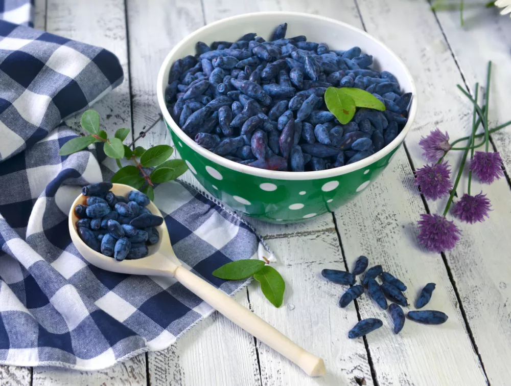 Beautiful summer vintage background, vegetarian and vegan concept, rural still life with berry and flowers / Foto: Verapetruk Getty Images