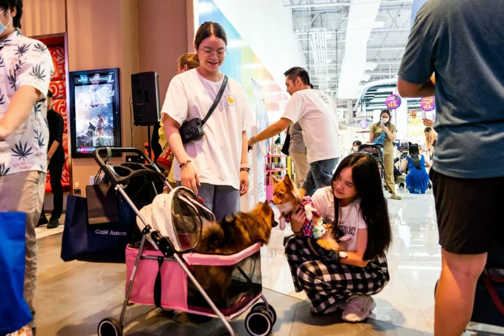 BANGKOK, THAILAND - JUNE 24: People bring their cats and dogs to watch a movie at 'i-Tail Pet Cinema', Thailand's first pet-friendly movie theater at Robinson Lifestyle Ratchaphruek in Bangkok, Thailand June 24, 2023. The companion-animal cinema offering is a collaboration between pet food manufacturer i-Tail (Thai Union Group) and Major Cineplex. Matt Hunt / Anadolu Agency/ABACAPRESS.COM,Image: 785573087, License: Rights-managed, Restrictions:, Model Release: no