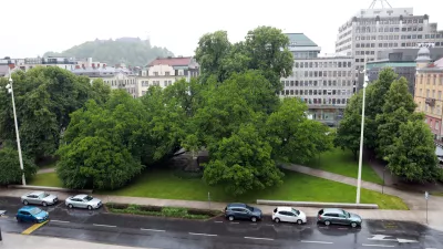12.05.2026 - Miklo&scaron;ičev parkFoto: Tomaž Skale