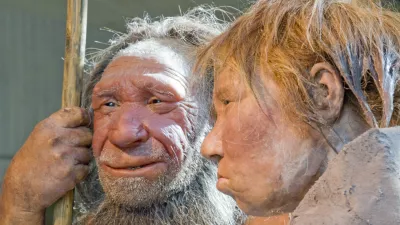 Nach rund 40.000 Jahren treffen am Freitag, 20. Maerz 2009, erstmals die beiden Neanderthaler "N", links, und "Wilma" im Neanderthal Museum in Mettmann aufeinander. Die Rekonstruktion des 1856 in der Feldhofer Grotte gefundenen "N" steht seit 2006 im Museum und hat nun einen weiblichen Part in der fuer das amerikanische Magazin National Geopgraphic rekonstruierten "Wilma" gefunden. Sie wurde von den niederlaendischen Kuenstler Alfons und Adrie Kennis auf einem idealisierten Neanderthalerskelett des American Museum of Natural History in New York aufgebaut. (AP Photo/Martin Meissner) --- The prehistoric Neanderthal man "N", left, is visited for the first time by another reconstruction of a homo neanderthalensis called "Wilma", right, at the Neanderthal museum in Mettmann, Germany, Friday, March 20, 2009. The world famous fossil "N" is about 40.000 years old and was found 1856 at the Feldhofer grotto at the Neander Valley in Mettmann, western Germany. "Wilma" was built by Dutch artists Alfons and Adrie Kennis for the National Geographic magazine on a skeleton from the American museum of natural history in New York. (AP Photo/Martin Meissner)