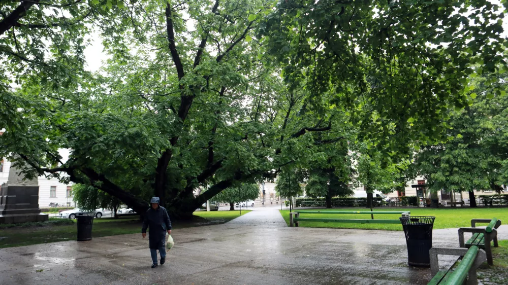 12.05.2026 - Miklo&scaron;ičev parkFoto: Tomaž Skale