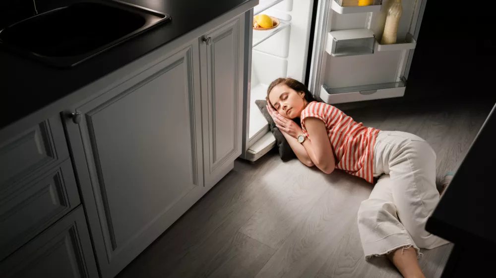Včasih bi res najraje zlezli v hladilnik. / Foto: Istock