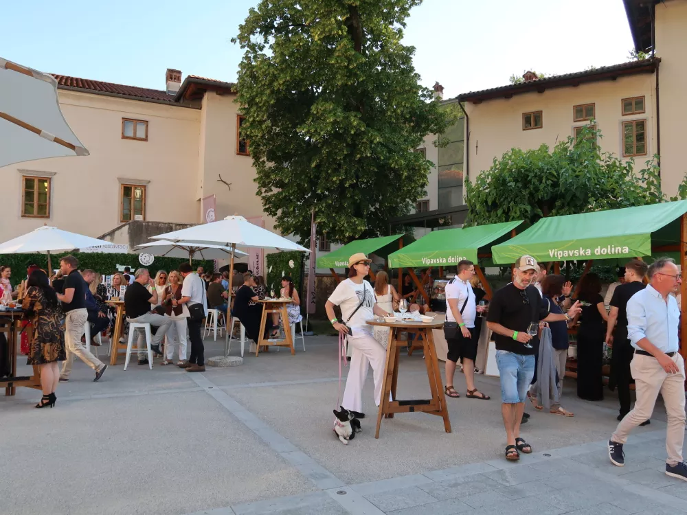 Okusi Vipavske, vinski in kulinarični festival Vipavske doline, vino, kulinarika, zelen, pinela, dvorec Lantieri / Foto: Nata&scaron;a Bucik Ozebek
