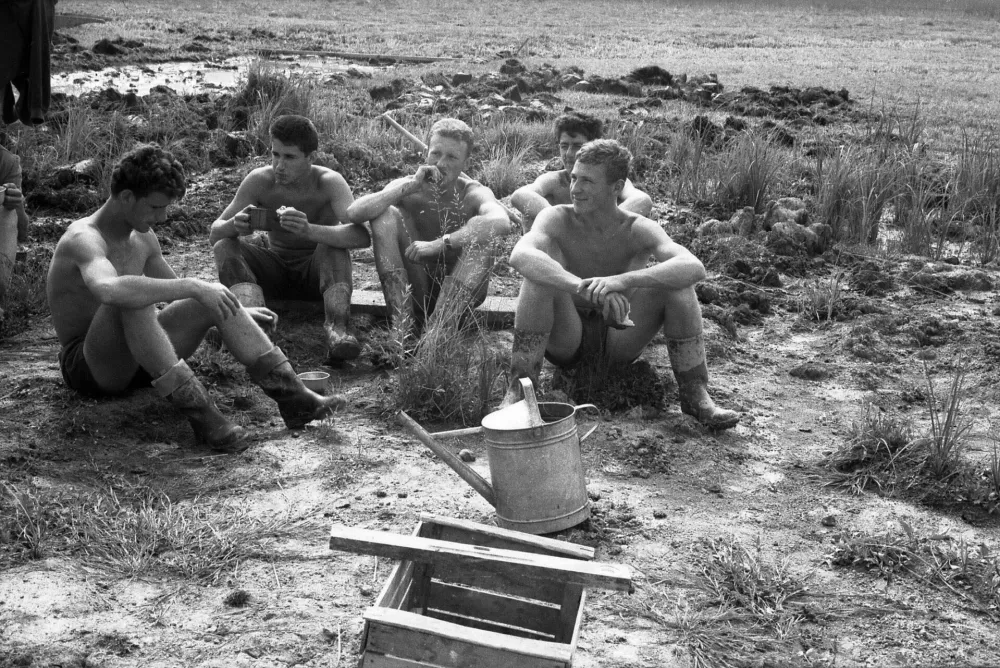 Mladinske delovne brigade: iz blata in kamna do prog, cest in mest