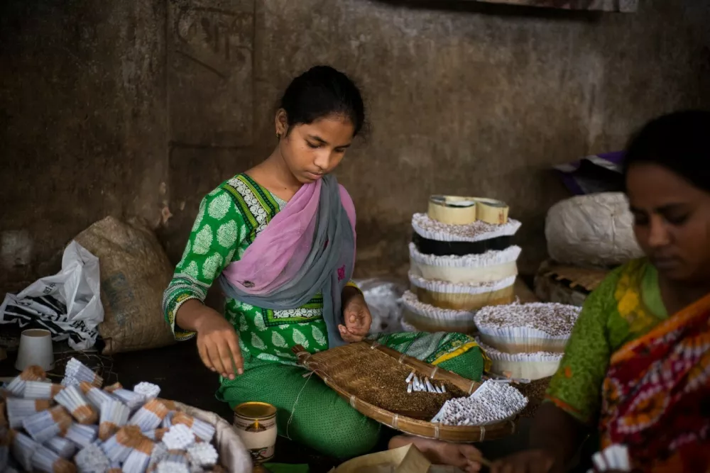 BOGRA, BANGLADESH - SEPTEMBER 23: 12 years old girl Sritii makes bidi cigarettes at a factory in Bogra, Bangladesh on September 23, 2019. Thousands of child labors are working in tobacco industries in Bangladesh. To support more opportunity for girls and to increase awareness of gender inequality faced by girls worldwide "International Day of the Girl Child" is declared by the United Nations on October 11. More than 130 million girls in any age group around the world had no access to education due to problems such as poverty, migration, health problems. Masfiqur Sohan / Anadolu Agency,Image: 476011359, License: Rights-managed, Restrictions:, Model Release: no 