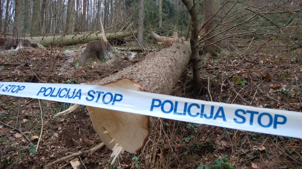Končali preiskavo brutalne ugrabitve: Na obrobju Ljubljane v avtu na&scaron;li čevelj žrtve