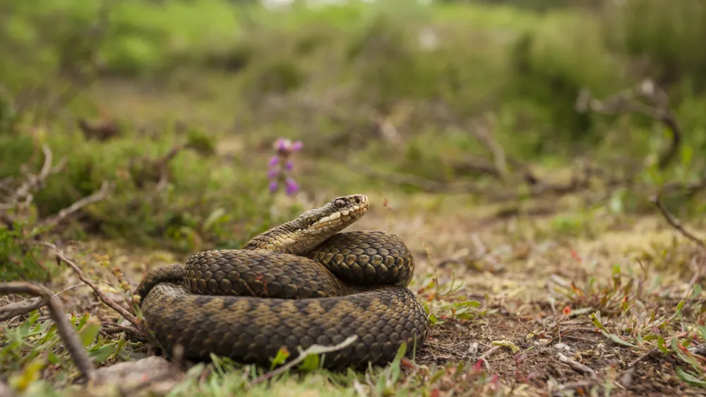 / Foto: iStock