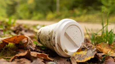 Old disposable coffee cup in the forest. Plastic recycling, pollution and global warming theme. Take away food industries impact on the environments.