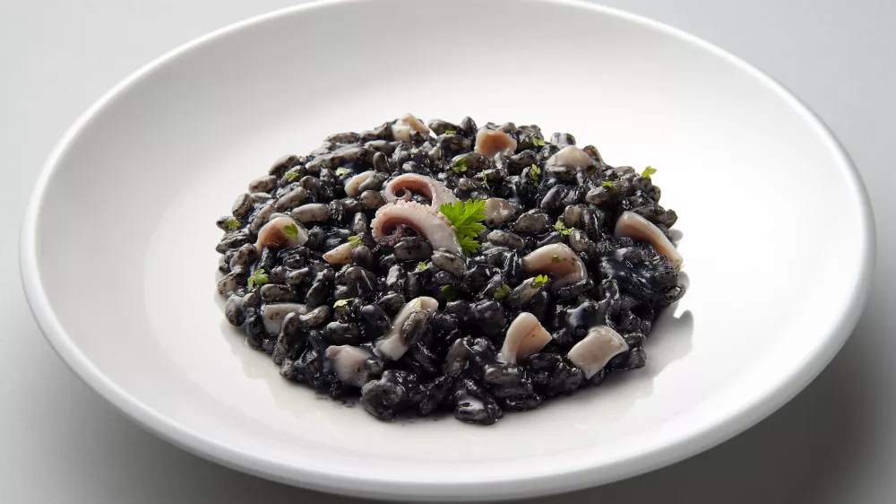 Dish of risotto with squid ink isolated on grey plane / Foto: Antoniotruzzi