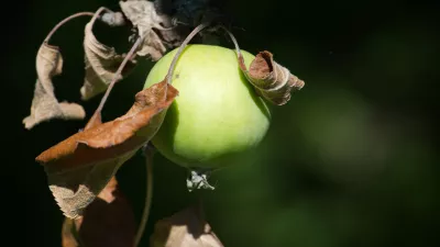 Slika je simbolična. / Foto: Istock