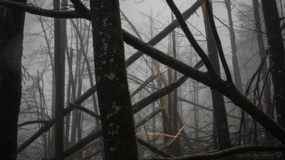 - polomljena drevesa - gozdovi -- 11. februar 2014 &ndash; odpravljanje posledic po ledeni ujmi &ndash; žledolom - odstranjevanje podrtih dreves in vejevja iz vodotokov, - poplave - poplavje &ndash; plavje -  //FOTO: Luka CjuhaOPOMBA: ZA OBJAVO V PRILOGI &ndash; DNEVNIKOV OBJEKTIV - REPORTAŽA 2014.