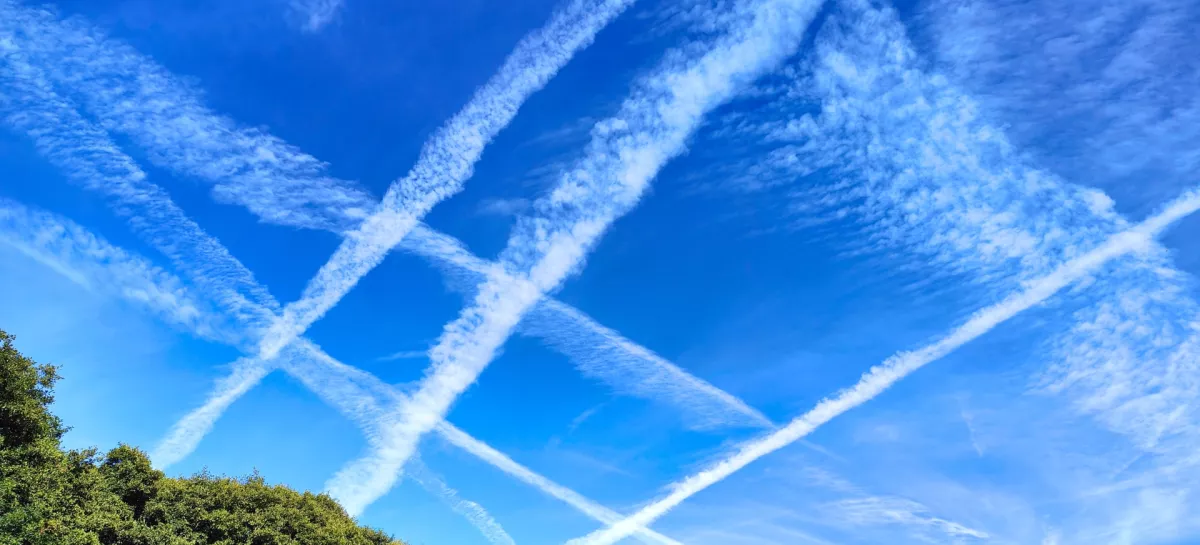Multiple jet contrails trails against a blue sky above the trees. Airplane condensation or vapour trails / Foto: Pawel Bednarski