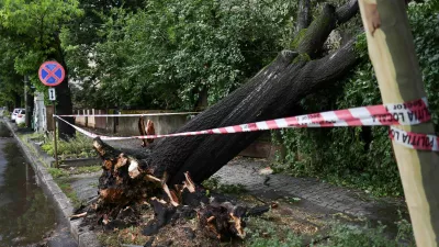 An uprooted tree following heavy gusts of wind during a strong storm in northern Bucharest, Romania, July 1, 2026. Inquam Photos/Octav Ganea via REUTERS ATTENTION EDITORS - THIS IMAGE WAS PROVIDED BY A THIRD PARTY. ROMANIA OUT. NO COMMERCIAL OR EDITORIAL SALES IN ROMANIA