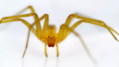 Foto: Wikipedia