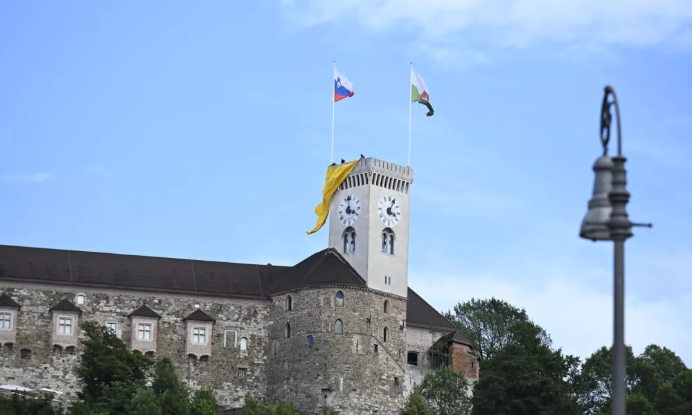 06.07.2026 referendum v LJ: spust rumene parkiri&scaron;čne zastave - CILJ - Pokažimo županu rumeni kartonfoto: Nik Erik Neubauer