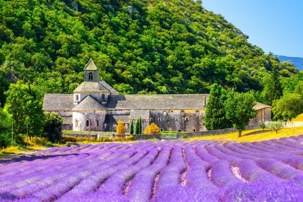 Senanque Abbey Gordes Provence Lavender fields Notre-Dame de Senanque, blooming purple-blue lavender fields Luberon France. Europe. High quality photo,Image: 1093737245, License: Royalty-free, Restrictions:, Model Release: no 