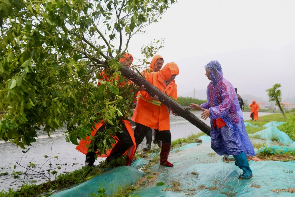 In this photo released by Xinhua News Agency, workers move a fallen tree in the aftermath of Typhoon Noul in Pinghai Town of Huidong County, Huizhou, south China's Guangdong Province on Sunday, July 26, 2026. (Lu Hanxin/Xinhua via AP)
