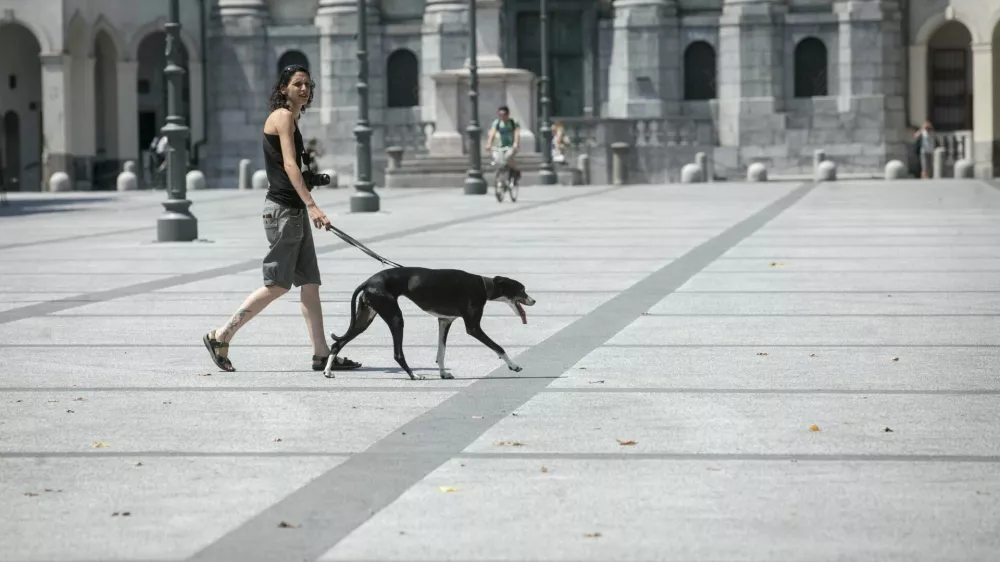 Kongresni trg - pes - - 17.07.2015 - vremenska slika v Ljubljani - poletje - vročina - vročinski val - visoke temperature - najvi&scaron;je dnevne temperature do 37 stopinj Celzija -       ///FOTO: Luka Cjuha.