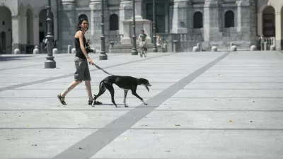 Kongresni trg - pes - - 17.07.2015 - vremenska slika v Ljubljani - poletje - vročina - vročinski val - visoke temperature - najvišje dnevne temperature do 37 stopinj Celzija -       ///FOTO: Luka Cjuha.