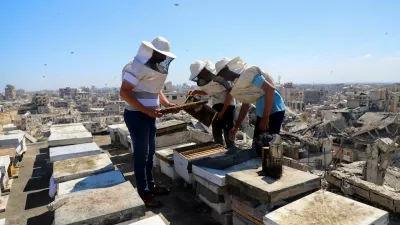 Hamas se je v Gazi pripravljen odreči orožju