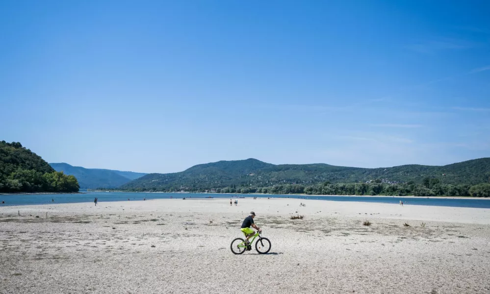 A man rides a bike on the partially dried-up bed of the Danube River in Kisoroszi, Hungary, August 1, 2026. REUTERS/Marton Monus