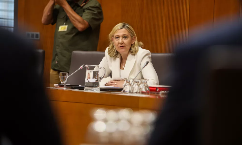 - Ignacija Fridl Jarc, kandidatka za ministrico za kulturo,- 01.06.2026. - Zasli&scaron;anja kandidatov za ministre 4. vleda Janeza Jan&scaron;e pred parlamentarnimi odbori v DZ RS.//FOTO: Bojan Velikonja
